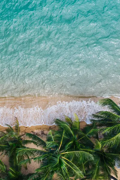 Turkuaz su dalgaları ve yeşil tropikal palmiyelerle dolu pitoresk kıyı şeridi manzarası. Hawaii 'nin cennet sahili kuş bakışı manzarası, yaz tatilleri için güzel bir turizm merkezi.