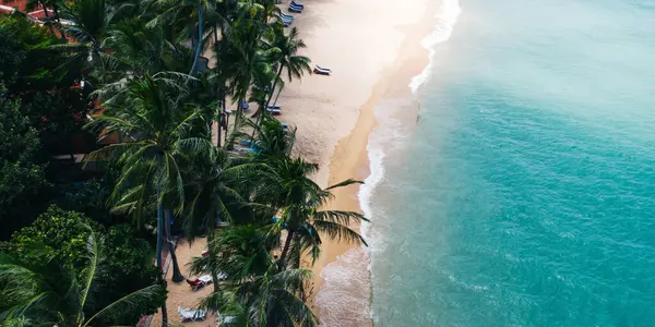 Turkuaz berrak deniz suyu ve köpüklü dalgalarla beyaz kumlu sahil manzarası. Resimli sahil şeridinin kuş bakışı panoramik manzarası. Samui Adası, Tayland