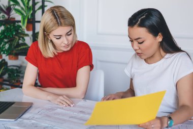 Çok ırklı, gündelik giysiler içinde, belgelerle çalışan, modern ışık yaratıcı çalışma alanında kağıt ve akıllı telefonlu çok yönlü kadınlar.