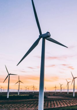 Kuşlar rüzgar enerjisinden yeşil enerji kaynakları üreten yel değirmenleri istasyonunu tarımın engin alanlarında görüyorlar. Çayırlarda dönen türbinlerle alternatif elektrik üretimi