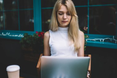 Rahat açık kafede masada yakın oturan ve modern laptop serbest iş yaparken sarı saçlı odaklı genç kadın