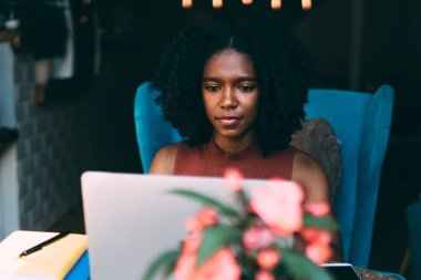 Koyu tenli kadın romantizm yazarı en çok satanlar listesinde yeni bir bölüm üzerinde çalışıyor. Çatı katında modern netbook ile oturuyor ve web sitesinde bilgi arayan yetenekli bir kadın yaratıyor.