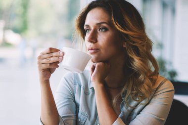 Kahve molası kapalı sırasında kafeterya penceresine bakarak düşünceli kadın düşüncelere, çay bardağı ile oturan ve edebiyat dünyasında bir sonraki en çok satıcı için yeni fikirler hakkında düşünme düşündürücü kadın yazar