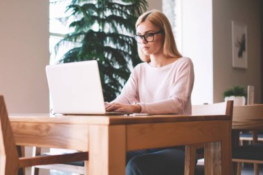 Masaüstü oturan ve WiFi bağlantısı kullanarak dizüstü bilgisayar üzerinde profesyonel uygulama ile internet alanında yeni Web sayfası oluşturmak için ciddi kadın yazılım geliştiricisi yazma programı kodu