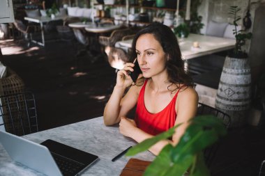 Kırmızı elbiseli, ciddi orta yaşlı bir kadın şık, bitkilerle dolu bir kafede dizüstü bilgisayarla çalışırken akıllı telefonuyla konuşuyor. Profesyonel serbest çalışan iletişimi dengeleyici ve 
