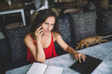 Kendine güveni tam bir kadın, arka planda rahat bir kediyle rahat, modern bir ev ortamında çalışıyor. Uzak çalışma, üretkenlik ve yaşam tarzı temaları için ideal