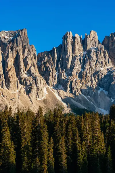 Etrafı kozalaklı ormanlarla çevrili Dolomitlerin resimli zirveleri. Manzaralı bir yer ve gündüz vakti ünlü turistik bir yer. İlkel nefes kesici doğa manzarası
