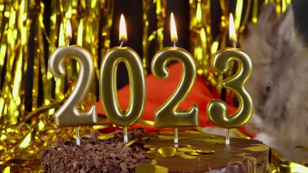 New Year Chocolate Cake Candles Gray Cute Rabbit Playing Gold — Stock Video