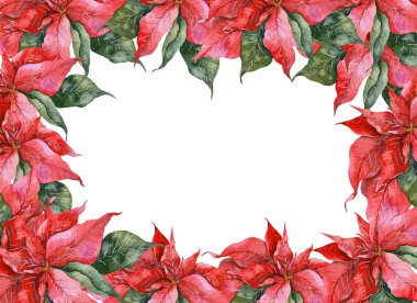 Poinsettia, Yeşillik ve Şekerli El Boyalı Suluboya Resimli Noel Çerçevesi Beyaz arka planda izole edilmiş Çiçek Çerçeve Suluboya