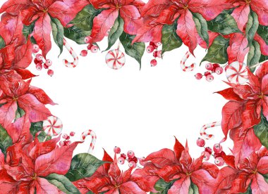 Poinsettia, Yeşillik ve Şekerli El Boyalı Suluboya Resimli Noel Çerçevesi Beyaz arka planda izole edilmiş Çiçek Çerçeve Suluboya