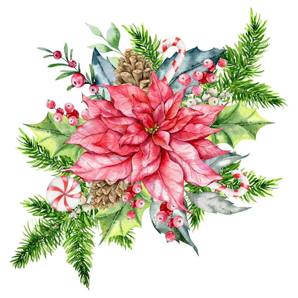 Σύνθεση Χριστουγέννων Poinsettia Πράσινο Και Γλυκά Χέρι Βαμμένο Ακουαρέλα Εικονογράφηση — Φωτογραφία Αρχείου