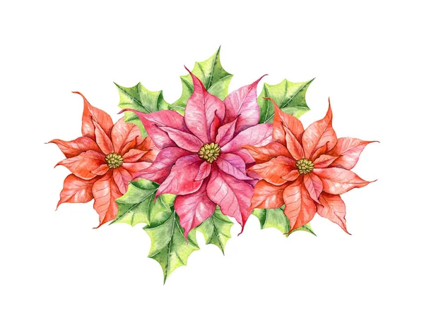 Σύνθεση Χριστούγεννα Poinsettia Πράσινο Και Γλυκά Χέρι Ζωγραφισμένα Ακουαρέλα Εικονογράφηση — Φωτογραφία Αρχείου