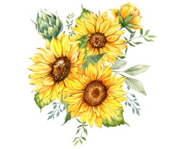 Watercolor sunflowers bouquet, hand painted sunflower bouquets, sunfower flower arrangement. Wedding invitation clipart elements. Watercolor floral. Botanical Drawing clipart