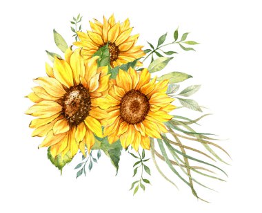 Watercolor sunflowers bouquet, hand painted sunflower bouquets, sunfower flower arrangement. Wedding invitation clipart elements. Watercolor floral. Botanical Drawing