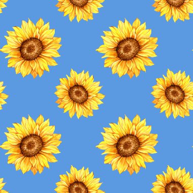 Suluboya Ayçiçeği Arkaplanı, Ayçiçeği Kusursuz desenli El Boyalı Sulu Ayçiçeği ve Yeşillik