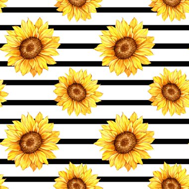 Suluboya Ayçiçeği Arkaplanı, Ayçiçeği Kusursuz desenli El Boyalı Sulu Ayçiçeği ve Yeşillik