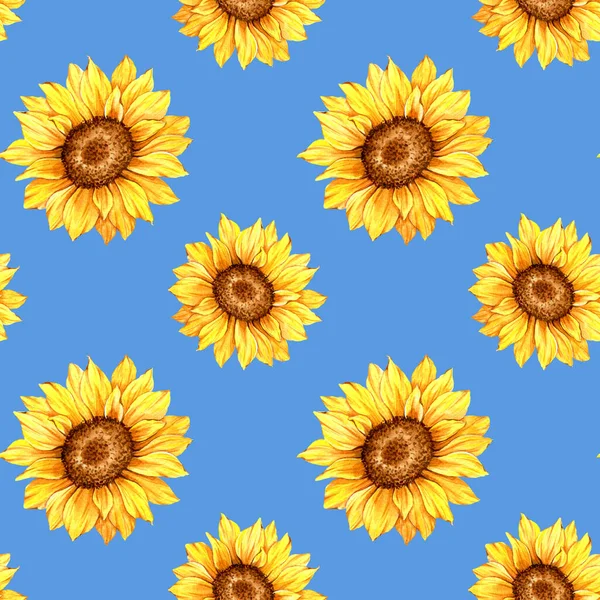 Suluboya Ayçiçeği Arkaplanı, Ayçiçeği Kusursuz desenli El Boyalı Sulu Ayçiçeği ve Yeşillik