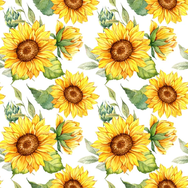 Suluboya Ayçiçeği Arkaplanı, Ayçiçeği Kusursuz desenli El Boyalı Sulu Ayçiçeği ve Yeşillik