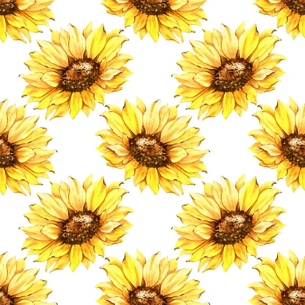 Watercolor Sunflower Background, Sunflower Seamless pattern with Hand Painted Watercolor Sunflowers and Greenery on white background