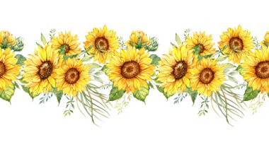 Sunflowers Seamless Border, Watercolor Sunflowers Arrangement, Hand Painted Sunflowers Bouuqet on white background