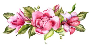 Pink magnolia Flower Bouquet Watercolor Illustration, Magnolia Arrangement on white background, Spring Floral Illustration. Hand painted Magnolia set