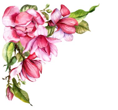 Pink magnolia Flower Bouquet Watercolor Illustration, Magnolia Arrangement on white background, Spring Floral Illustration. Hand painted Magnolia set