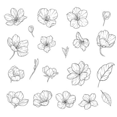 Floral Line Art, Sakura Flower Outline Illustration Set. Hand Painted Doodle Flowers. Perfect for wedding invitations, bridal shower and floral greeting cards. Black and white stencil flowers isolated on white background