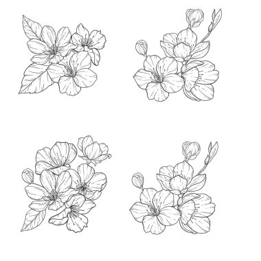 Floral Line Art, Sakura Flower Outline Illustration Set. Hand Painted Doodle Flowers. Perfect for wedding invitations, bridal shower and floral greeting cards. Black and white stencil flowers isolated on white background