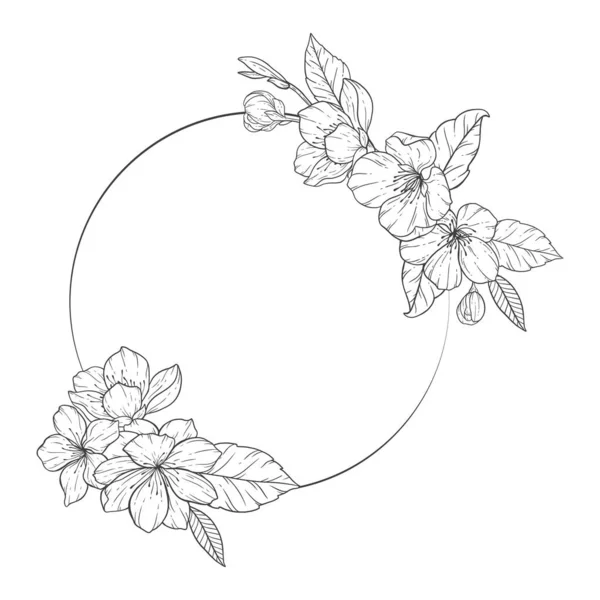 Floral Line Art Rahmen Sakura Flower Outline Illustration Set Handbemalte — Stockvektor