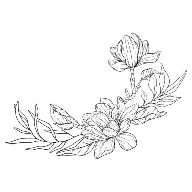 Çiçek Hattı Sanatı. Çiçek Rengi Sayfaları için Magnolia Çiçek Taslağı, Minimalist Modern Düğün Davetiyeleri