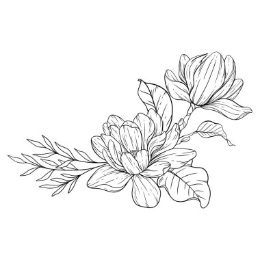 Çiçek Hattı Sanatı. Çiçek Rengi Sayfaları için Magnolia Çiçek Taslağı, Minimalist Modern Düğün Davetiyeleri