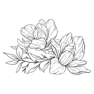 Çiçek Hattı Sanatı. Çiçek Rengi Sayfaları için Magnolia Çiçek Taslağı, Minimalist Modern Düğün Davetiyeleri
