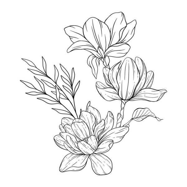  Floral Line Art. Magnolia Flower Outline for Floral Coloring Pages, Minimalist Modern Wedding invitations