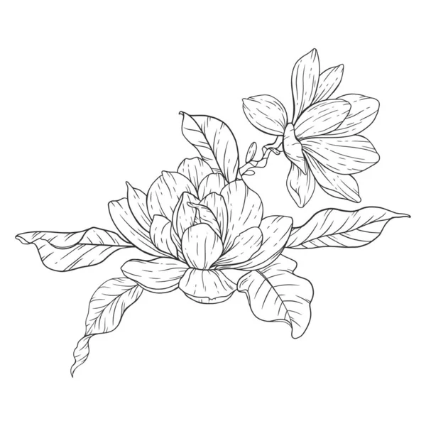 フラワーラインアート 花のぬりえページのためのマグノリアの花の概要 ミニマリスト現代結婚式の招待状 — ストックベクタ