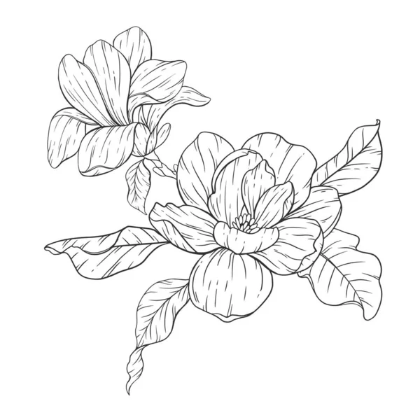 Floral Line Art Magnolia Flower Outline Floral Coloring Pages Minimalist — Stock Vector