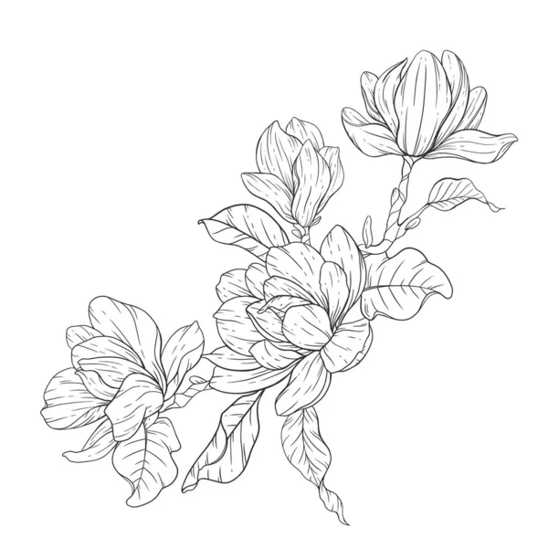 Virágos Vonalművészet Magnolia Virágvázlat Virágos Színező Oldalak Minimalista Modern Esküvői — Stock Vector