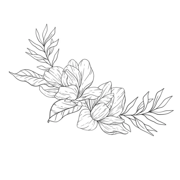Blommig Linjekonst Magnolia Blomma Skissera För Blommig Färg Sidor Minimalistiska — Stock vektor