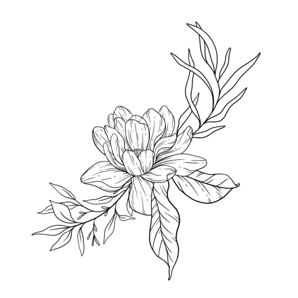 Çiçek Hattı Sanatı Çiçek Rengi Sayfaları Için Magnolia Çiçek Taslağı — Stok Vektör