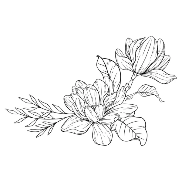Kwiatowa Linia Sztuki Zarys Kwiatów Magnolii Dla Kwiatów Kolorowanki Minimalistyczny — Wektor stockowy