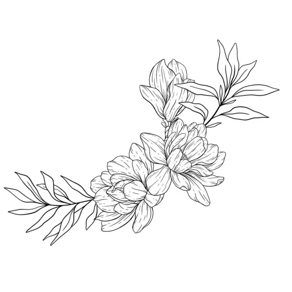 Floral Line Art Magnolia Esquema Flores Para Colorear Páginas Florales — Vector de stock