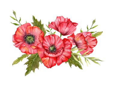 Kırmızı gelincik çiçekleri suluboya resimleri, el boyalı kır çiçekleri buketi. Düğün davetiyeleri, düğün öncesi parti ve çiçeklerle dolu tebrik kartları için mükemmel.