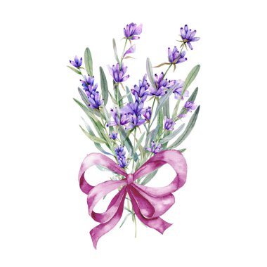 Lavantalı suluboya çizimi. El boyalı Provence otları beyaz arka planda izole edilmiş. Düğün davetiyeleri, düğün öncesi parti ve çiçeklerle dolu tebrik kartları için mükemmel.