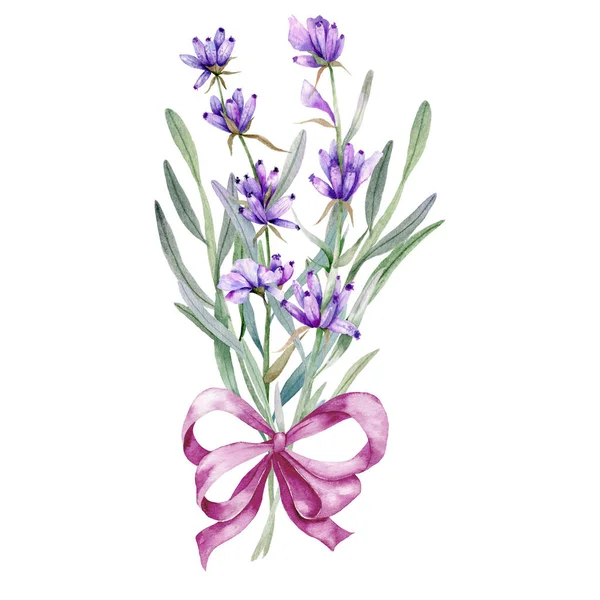 ラベンダー水彩イラスト プロバンスハーブ手白を背景に孤立塗装 結婚式の招待状 ブライダルシャワー 花のグリーティングカードに最適です — ストック写真