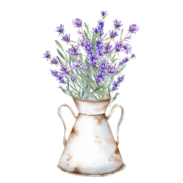 Lavendel Aquarel Illustratie Provence Kruiden Hand Geschilderd Geïsoleerd Witte Achtergrond — Stockfoto