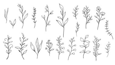 Yeşillik Çizgisi Sanat, İnce Çizgi Yaprak El Çizimi Çizimi. Botanik Renk Sayfası 