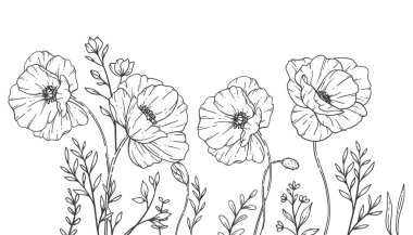 Çiçek Çerçeve Hattı Sanat, İnce Çizgili Poppy Frames Hand Çizim Çizimi. Özet Yaprak ve Çiçekler. 