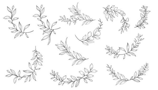 Greenery Line Art Fine Line Leaves Hand Gezeichnete Illustration Botanische — Stockvektor