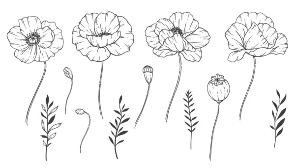 Poppy Flower Line Art Λεπτή Γραμμή Poppy Μπουκέτα Χέρι Σχεδιασμένο — Διανυσματικό Αρχείο