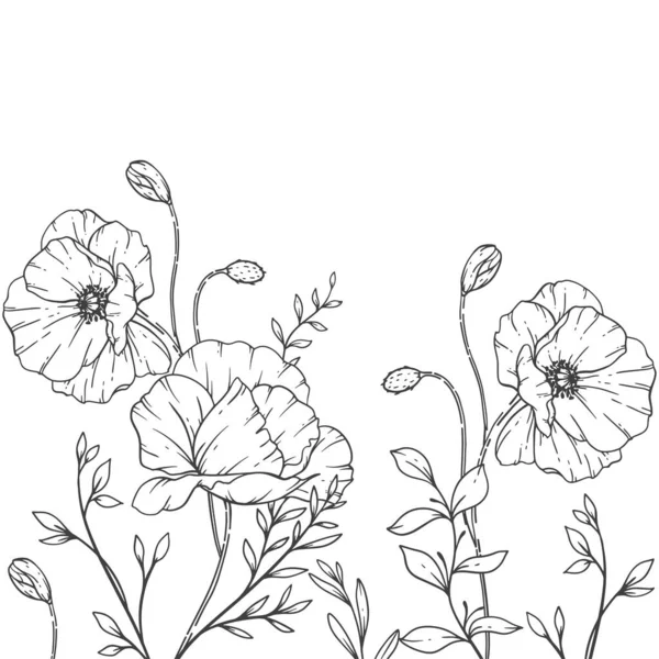 Marcos Florales Line Art Fine Line Poppy Frames Ilustración Dibujada — Vector de stock