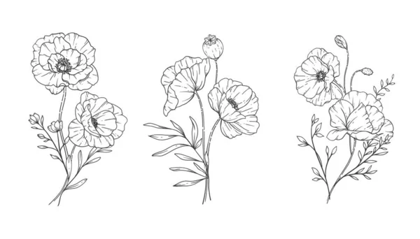 花盆线艺术 细线花盆手绘画图 用花卉着色页 — 图库矢量图片